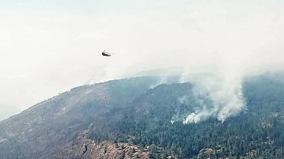 Amplio despliegue para controlar incendio en El Hoyo