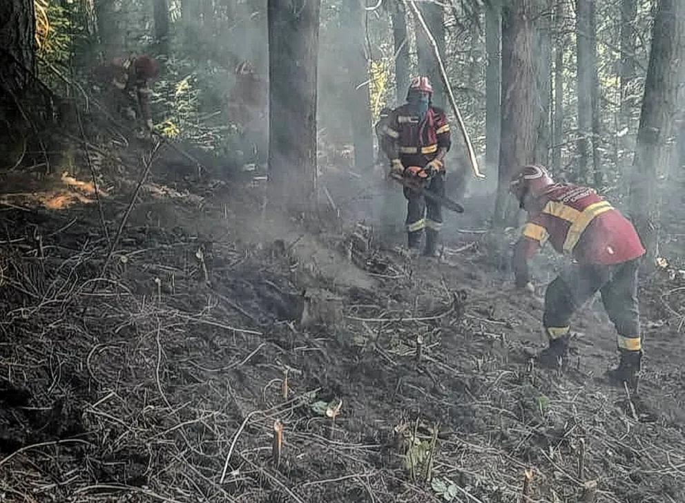 Se logró contener el incendio en El Hoyo