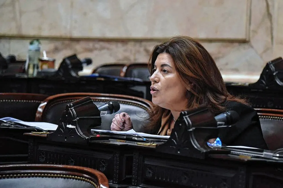 Ana Clara Romero: “Son una vergüenza, llaman a sesiones extraordinarias para discutir condiciones de impunidad de su jefa”