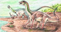 Descubren en Patagonia inusuales “patinadas” fosilizadas de dinosaurios saurópodos