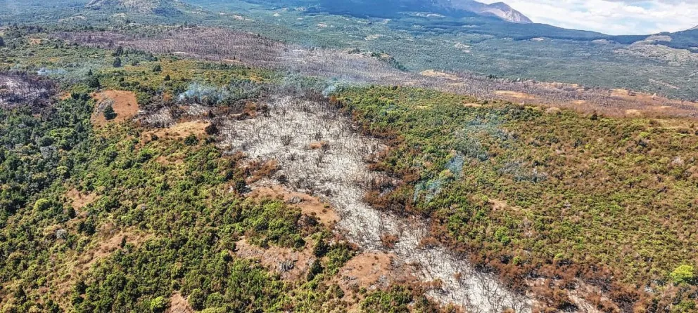 Continúa el trabajo de los brigadistas en el incendio cercano al Parque Nacional “Los Alerces”