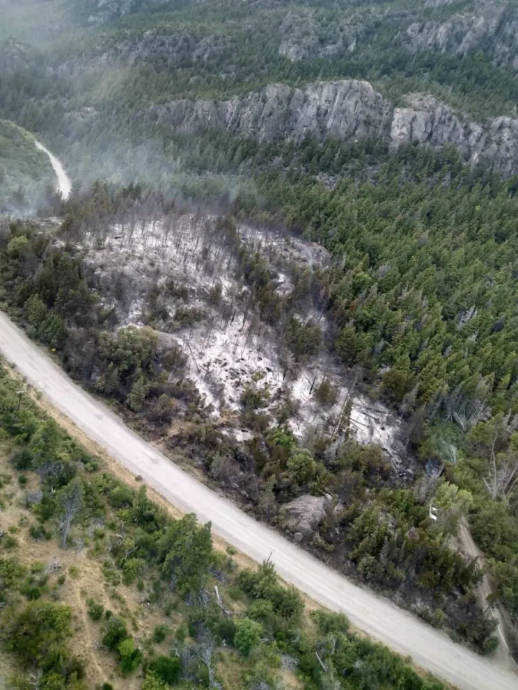 Provincia despliega operativo para controlar incendio en Los Cipreses