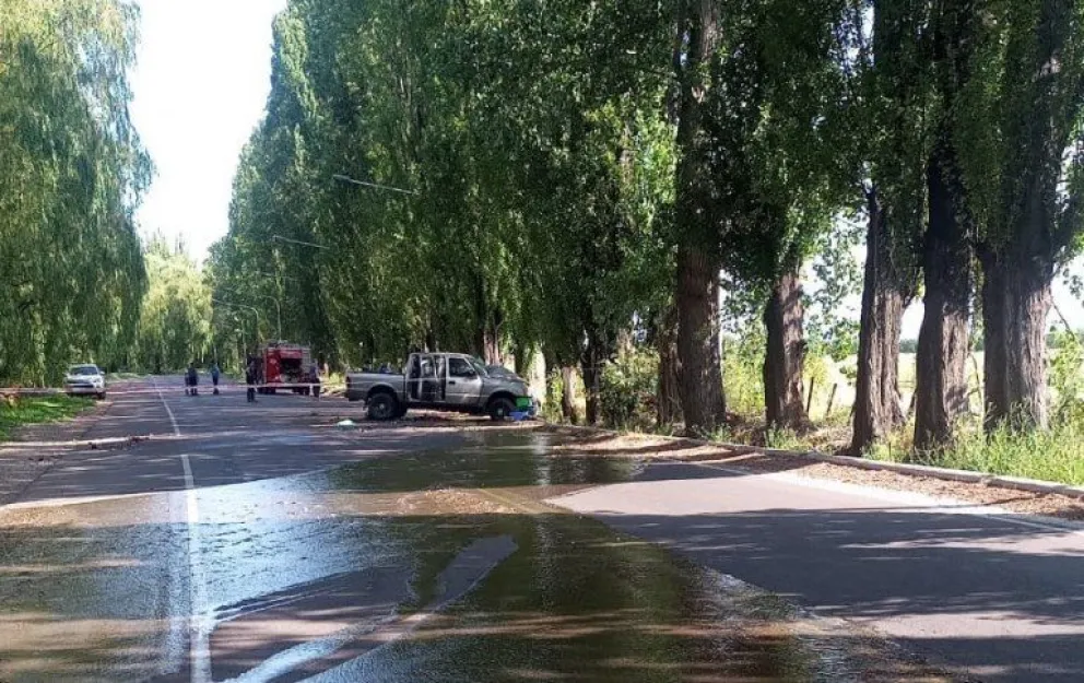 Una mujer murió tras perder el control de su camioneta y chocar con árboles en Mendoza