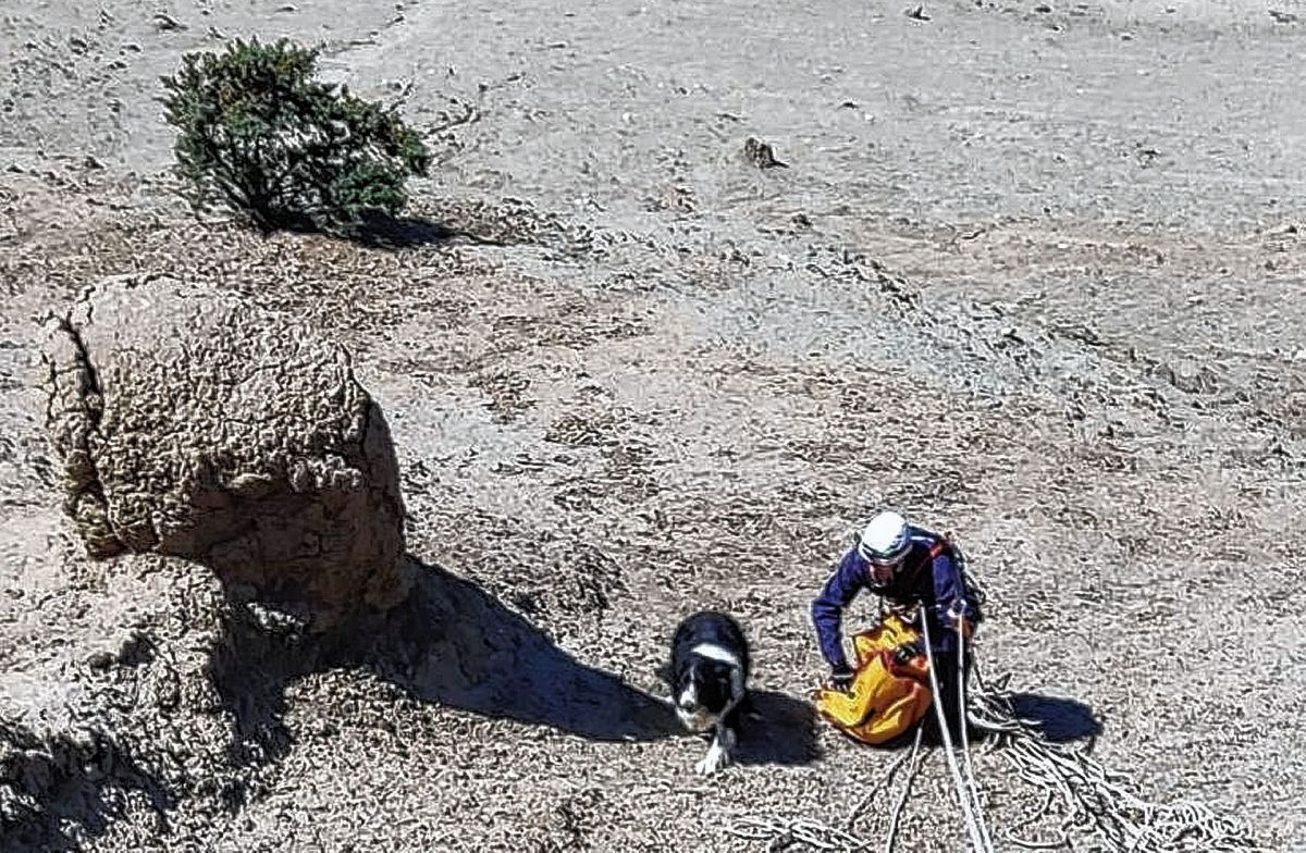 Bomberos rescataron a un perro que quedó atrapado en Punta del Marqués