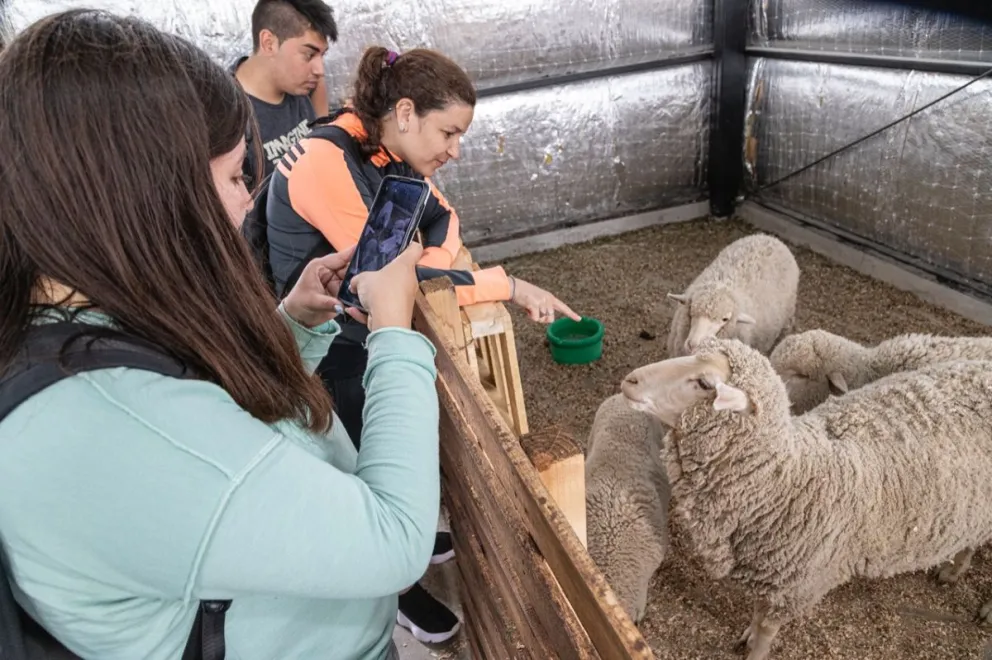El programa “Turistas por un Día” visitó espacios productivos de Km. 17