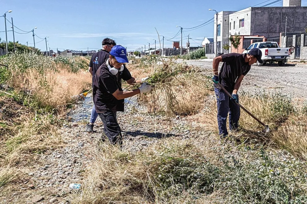 El Municipio limpió el pluvial de Kilómetro 8 ante el pedido de vecinos que denuncian que es usado como basural