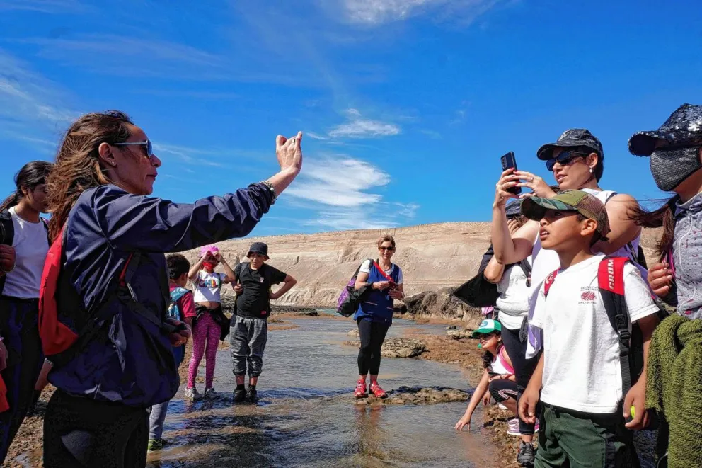 Rada Tilly invita a conocer la riqueza de estas costas