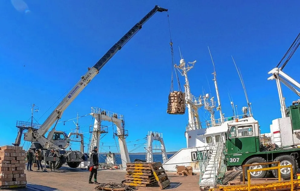 Pesca: los puertos de Madryn y de Rawson siguen liderando en la descarga de langostinos