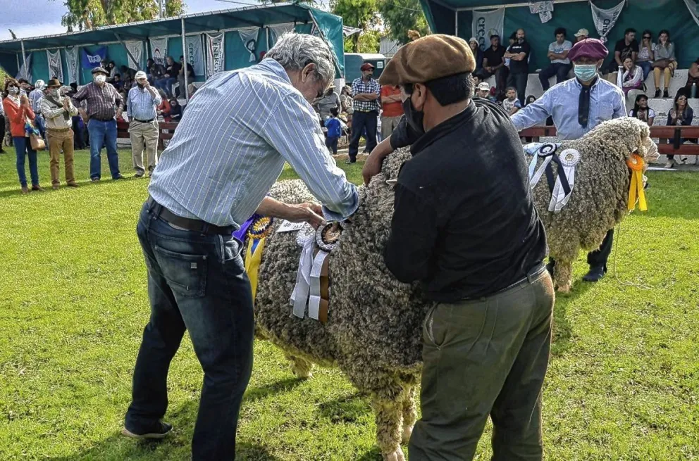 Se viene la 85ª Exposición de Ganadería y Afines, y 43ª Feria del Carnero a Campo
