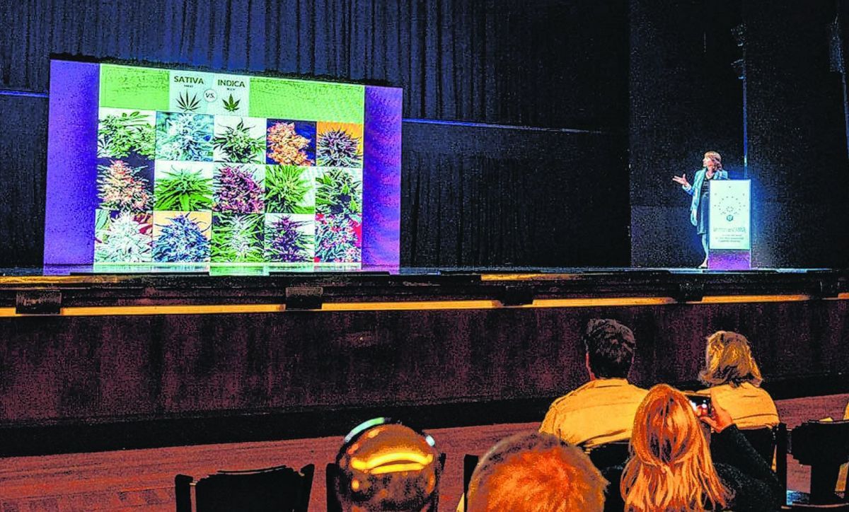 ARICCAME, la Agencia Regulatoria de la Industria del Cáñamo y del Cannabis Medicinal