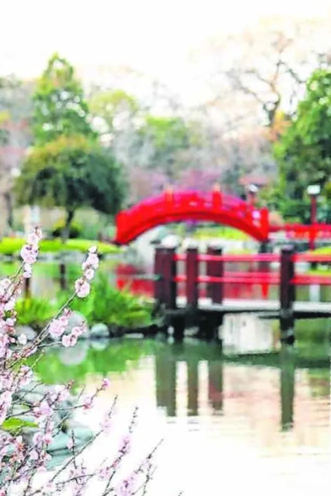 Un pequeño Japón en Argentina