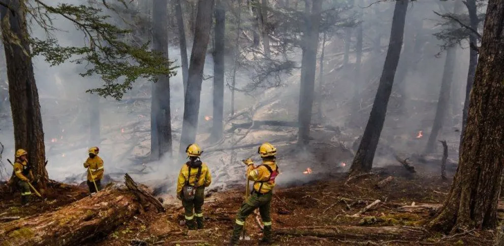 Decretaron estado de catástrofe en regiones de Chile afectadas por incendios forestales