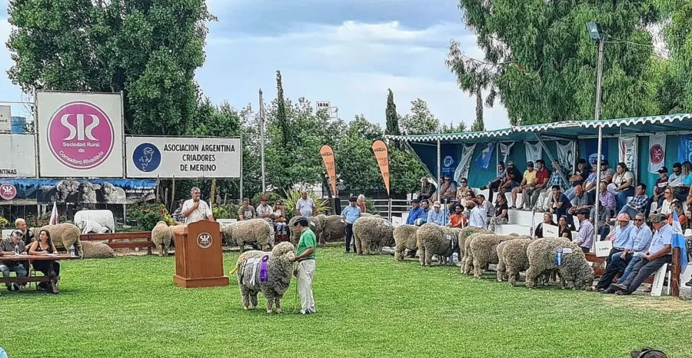 El Campeón Supremo de la raza Merino logró un valor de venta de 2.600.000 pesos