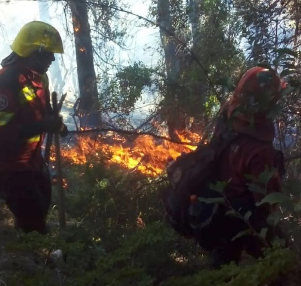 El incendio en el Parque Nacional Los Alerces ya llegó al Lago Cholila