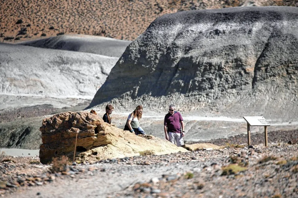 50º Aniversario del ANP Bosque Petrificado de Sarmiento