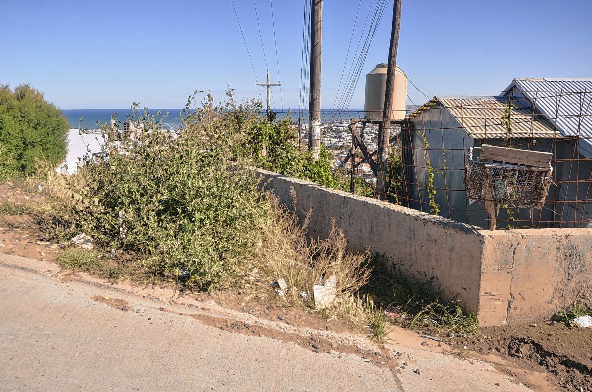 Vecinos de calle Patagonia denuncian abandono y falta de limpieza urbana