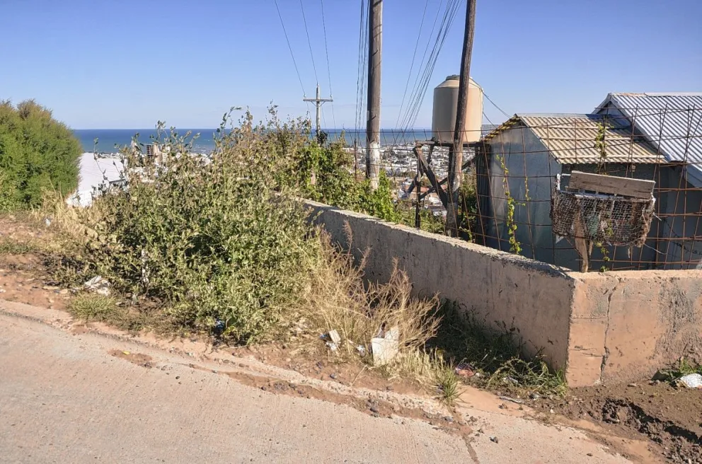 Vecinos de calle Patagonia denuncian abandono y falta de limpieza urbana