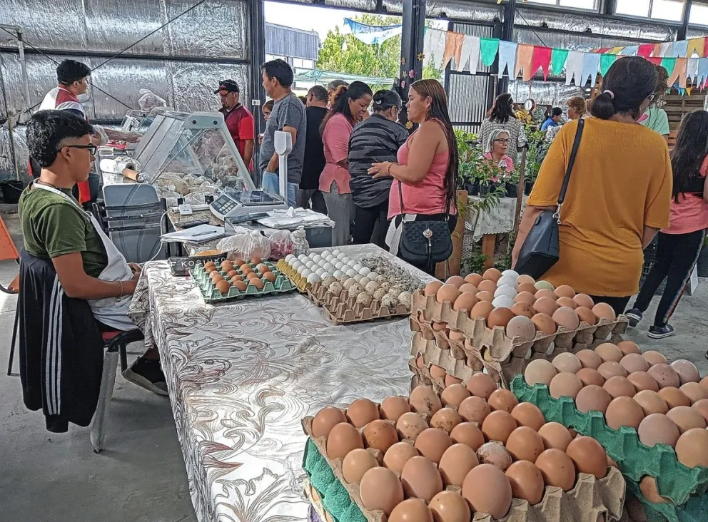 Ser productor en Comodoro: Avances y desafíos de la producción agroganadera local