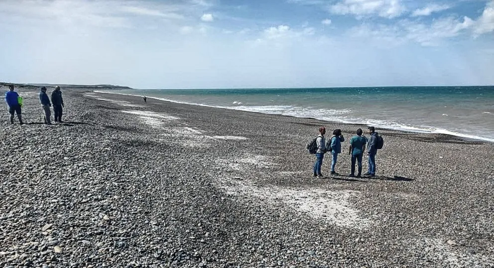 Pescadores encontraron restos de Diego Barría en el interior de un tiburón