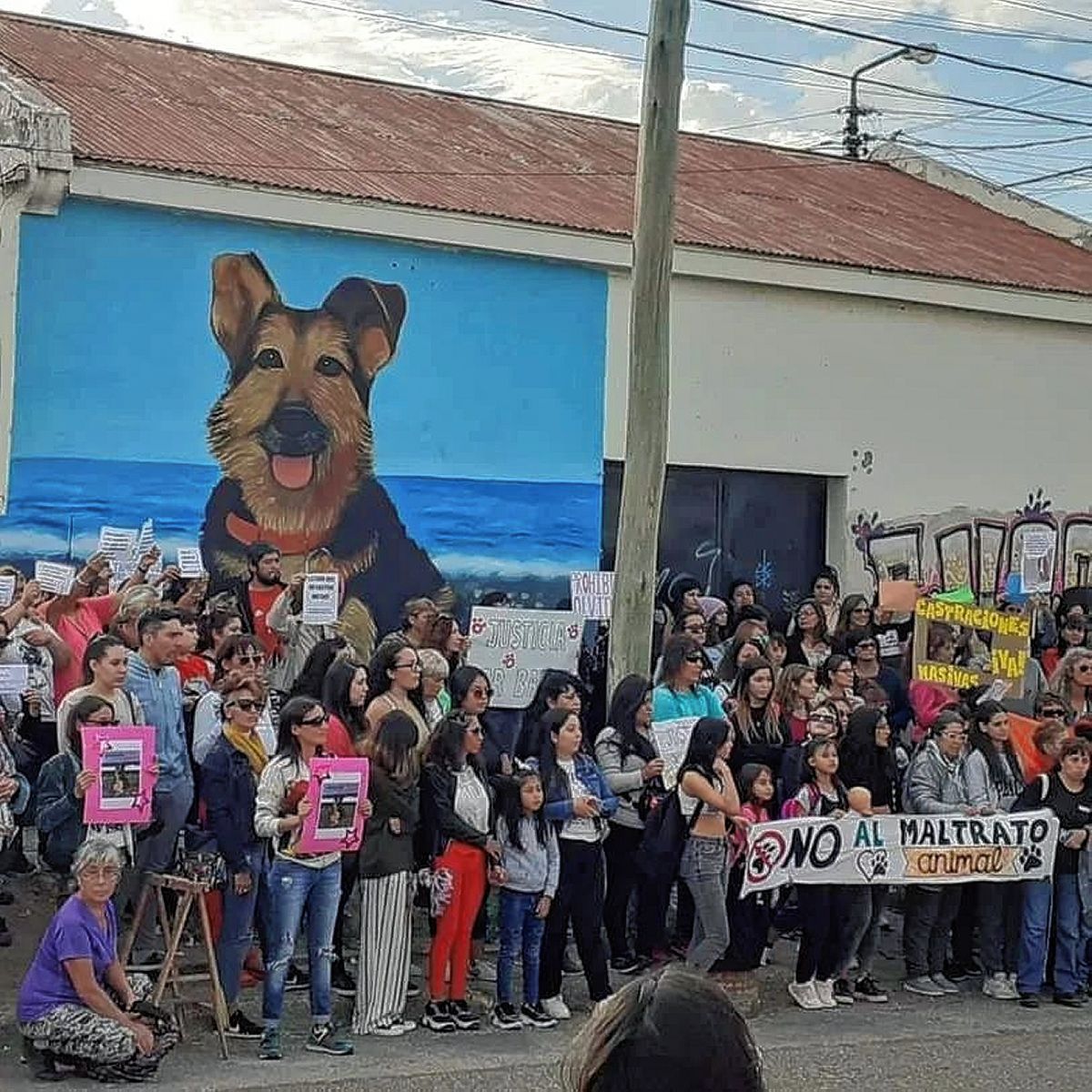 Habrían identificado al asesino de “Barbi” y fue denunciado por el ataque contra otros dos canes