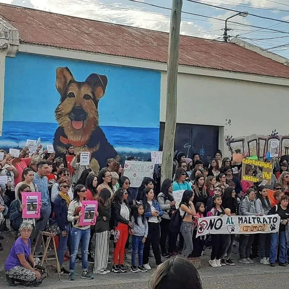 Habrían identificado al asesino de “Barbi” y fue denunciado por el ataque contra otros dos canes
