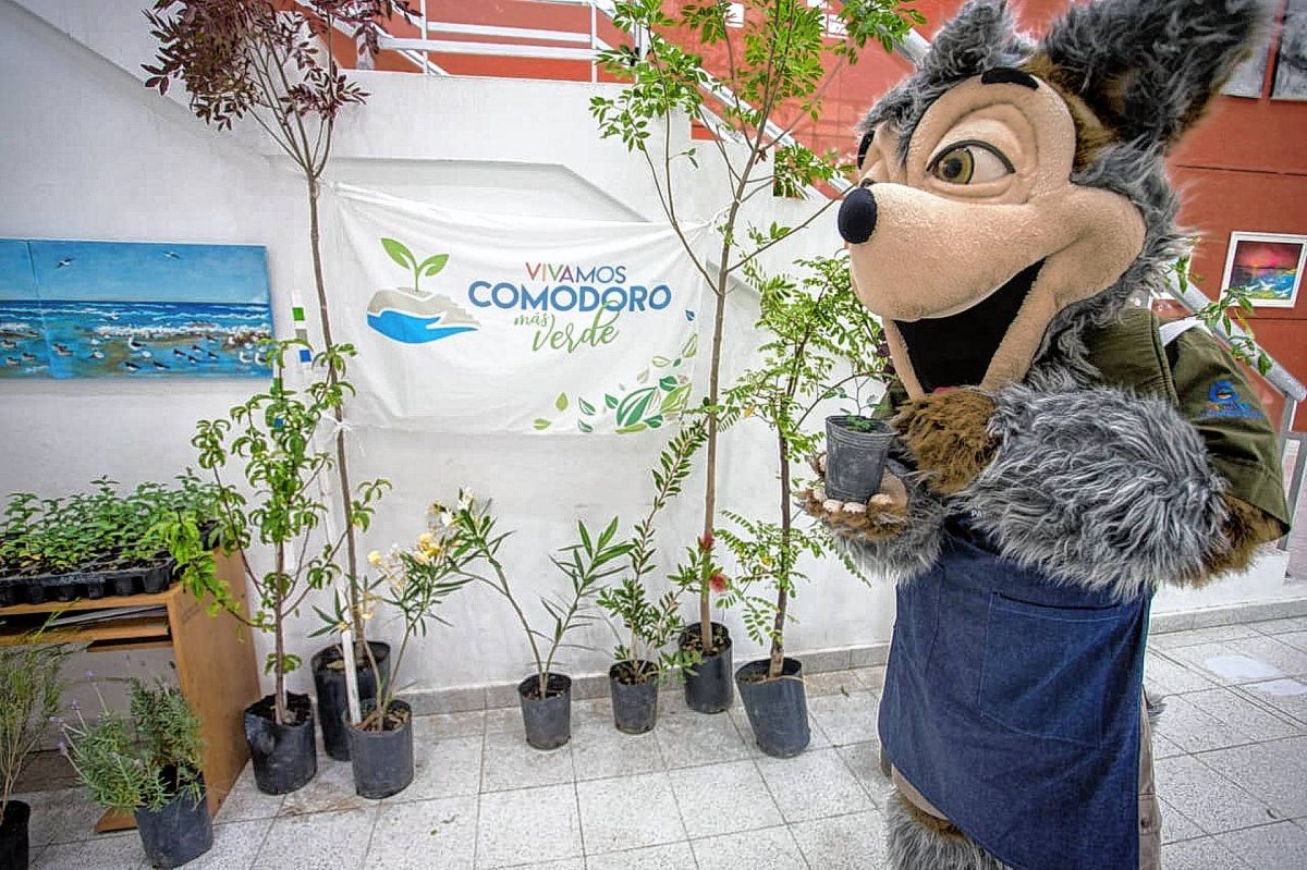 Plantarán 122 árboles en conmemoración al reciente aniversario de Comodoro
