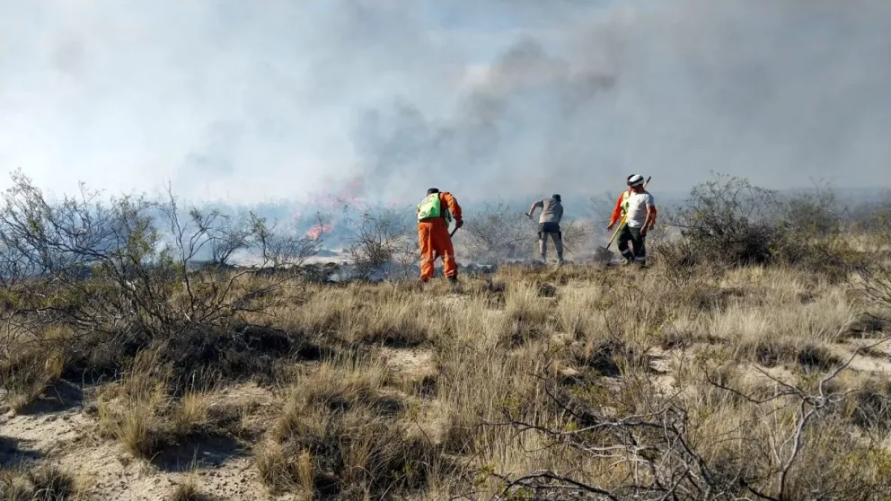 Combaten incendio en la zona de Bajo Gualicho