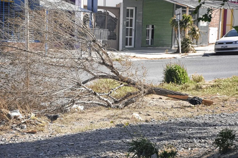 Alerta naranja dominguera por fuertes vientos para Comodoro y Rada Tilly