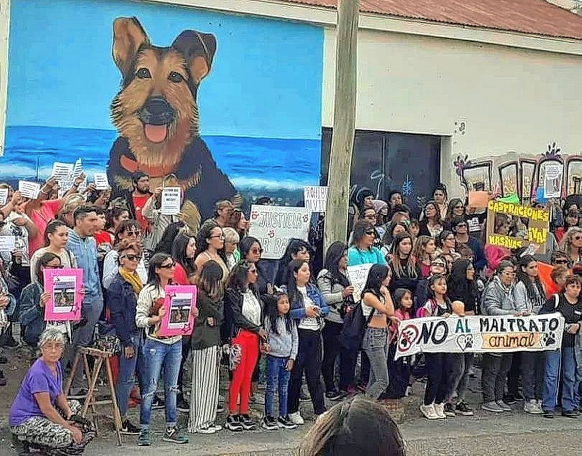 Juntan firmas pidiendo justicia por el asesinato de Barbi