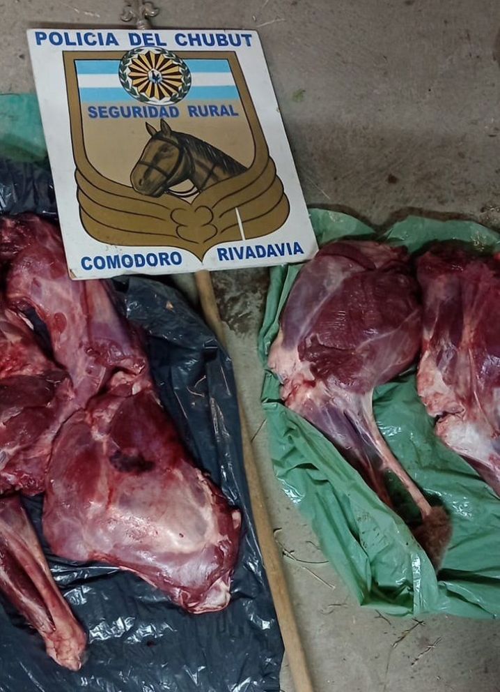 Lo atraparon con tres guanacos depostados  y le secuestraron la carne que llevaba