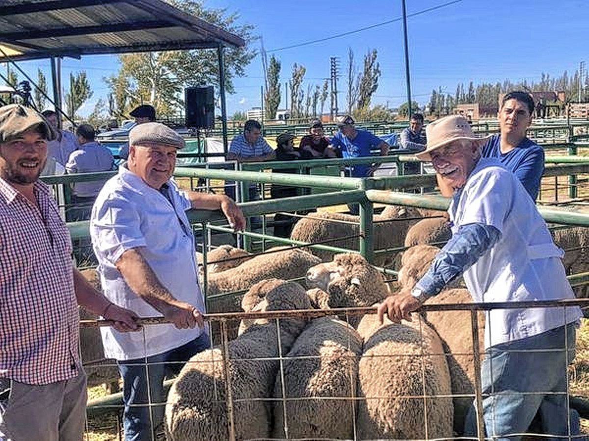 Hoy inicia la 92ª Expo Agrícola y del Carnero a Campo en Sarmiento