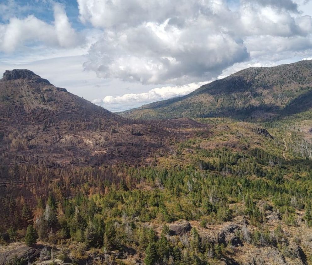 Tras un arduo operativo, brigadistas controlaron incendio en la zona de Epuyén