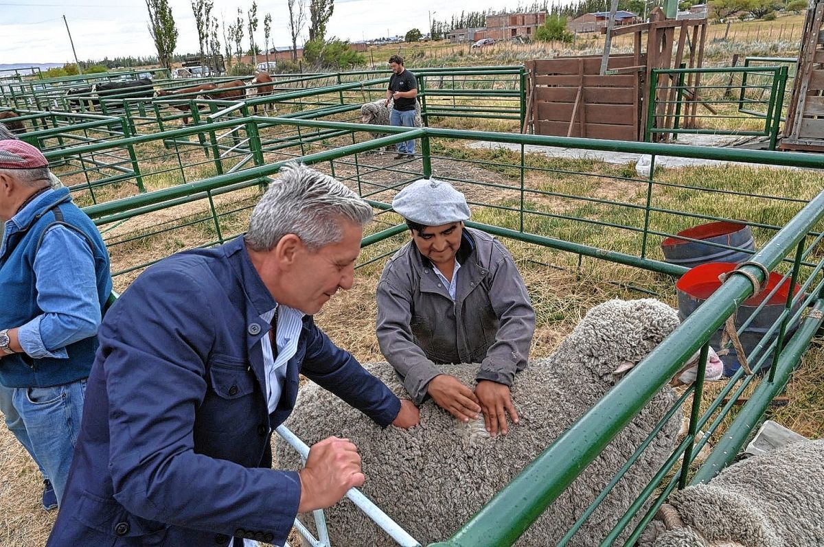 Arcioni recorrió la Exposición Agrícola y de Carnero a Campo en Sarmiento y entregó aporte económico