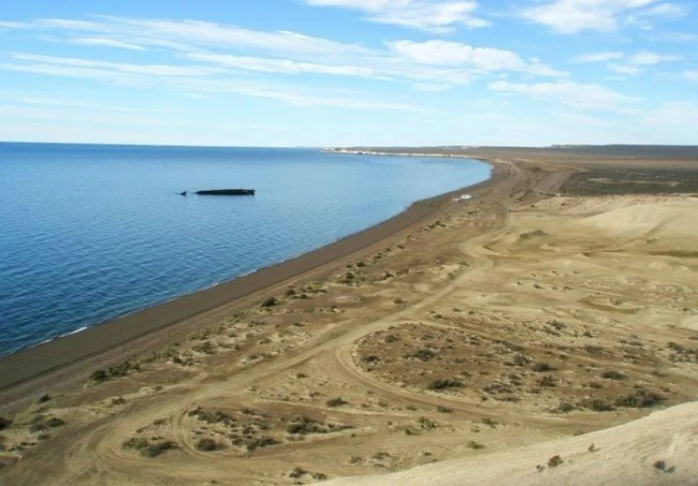 Viajó a conocer Puerto Madryn, su tío la llevó a una playa y abusó de ella