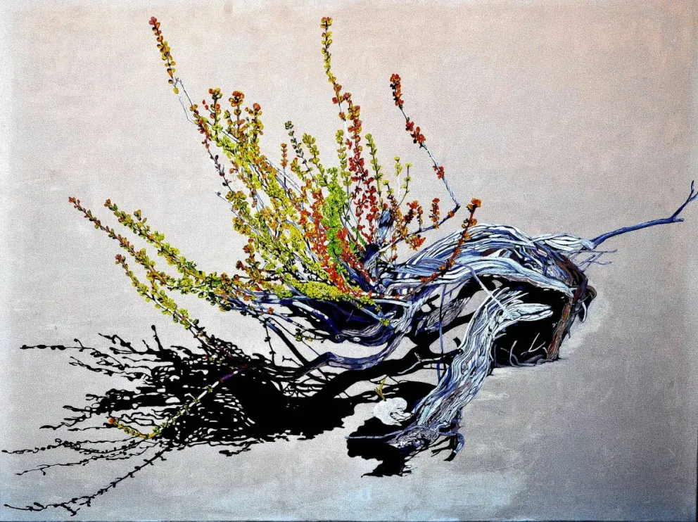 Rada Tilly: Hoy se inaugura una exposición de María Alejandra Koroluk