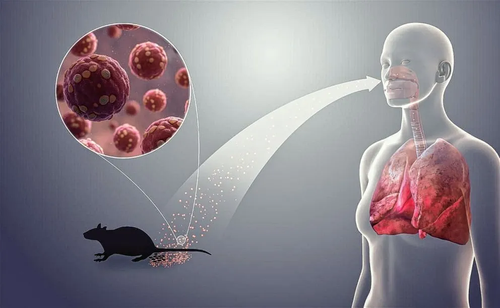 Provincia informó sobre el caso de hantavirus en la comarca andina