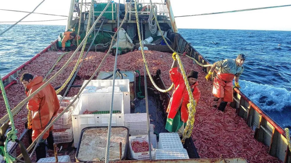 Los trabajadores del sector pesqueros muestran gran preocupación por decisiones impulsadas por el mercado de langostino.