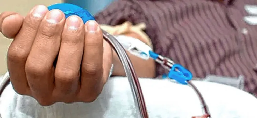 Trasplante de médula ósea: sólo el 25% de los pacientes tienen un familiar compatible