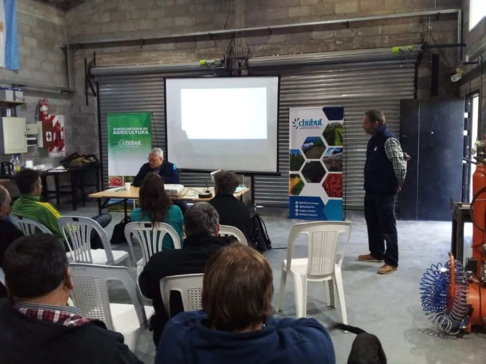 Se realizó una capacitación en fisiología del olivo en Puerto Madryn