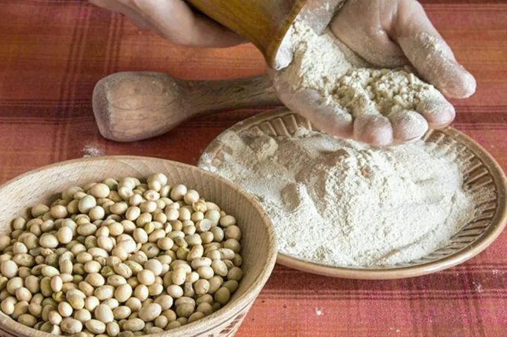 Por primera vez en la historia, Brasil desplazó a la Argentina como primer exportador mundial de harina de soja
