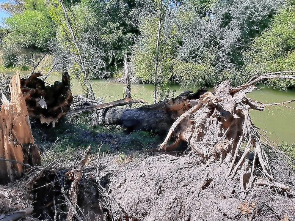 El IPA avanza con obras hídricas sobre los ríos Chubut y Senguer