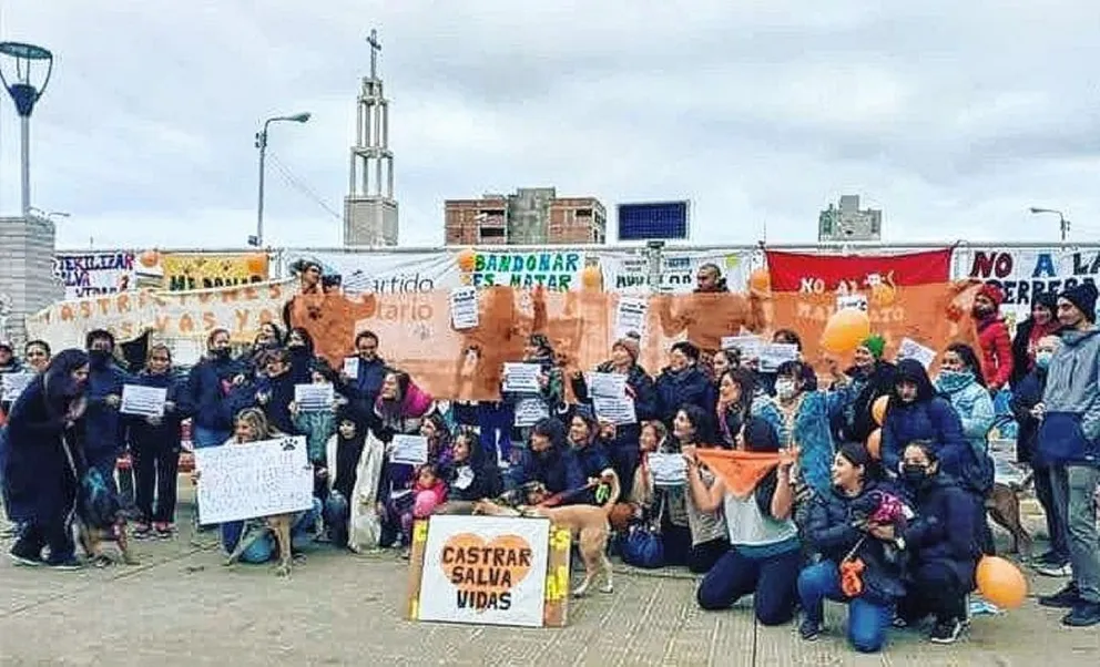 Convocan a una marcha por  el Día del Animal el 29 de abril