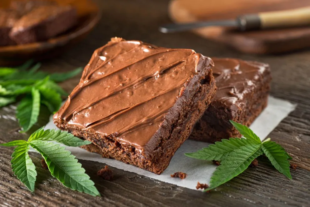Una alumna llevó un brownie de marihuana en una escuela de Lago Puelo y medio curso terminó drogado