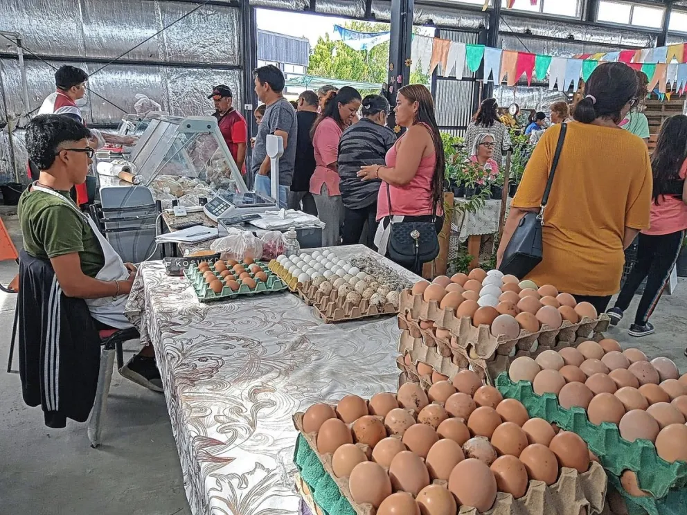 Este sábado habrá una nueva edición de la Feria de la Estepa