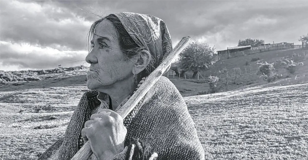 Cuentos de la Tierra, memorias del pueblo Mapuche