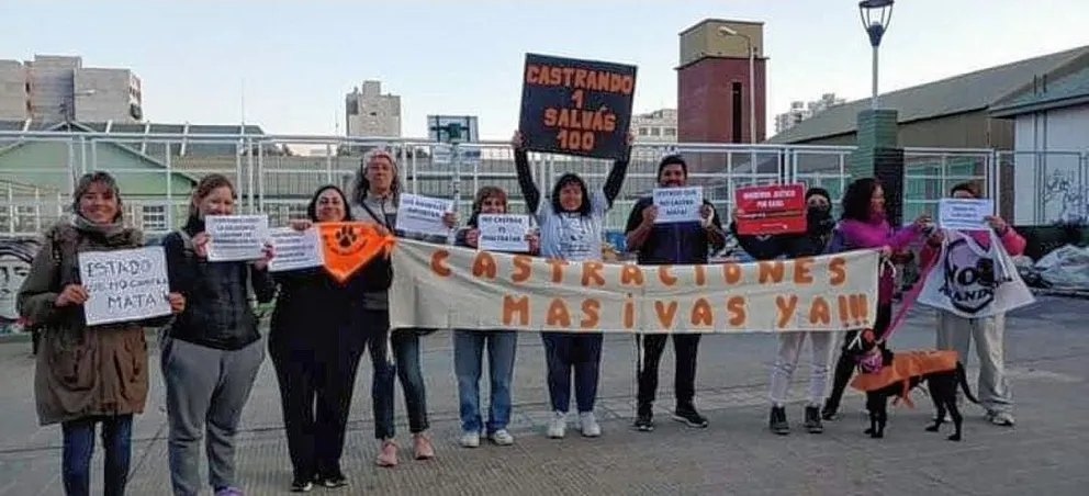 Proteccionistas se manifestarán este sábado 6 de mayo por los derechos de los animales