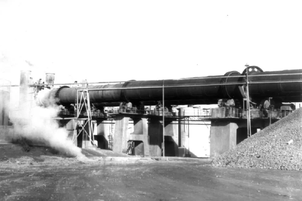 Comferpet, una de las banderas del orgullo