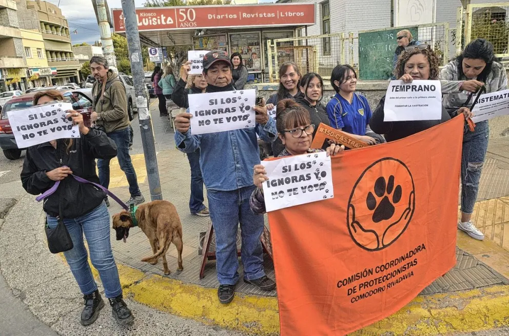 Juntan firmas para exigir que se realicen las castraciones contempladas por la normativa vigente