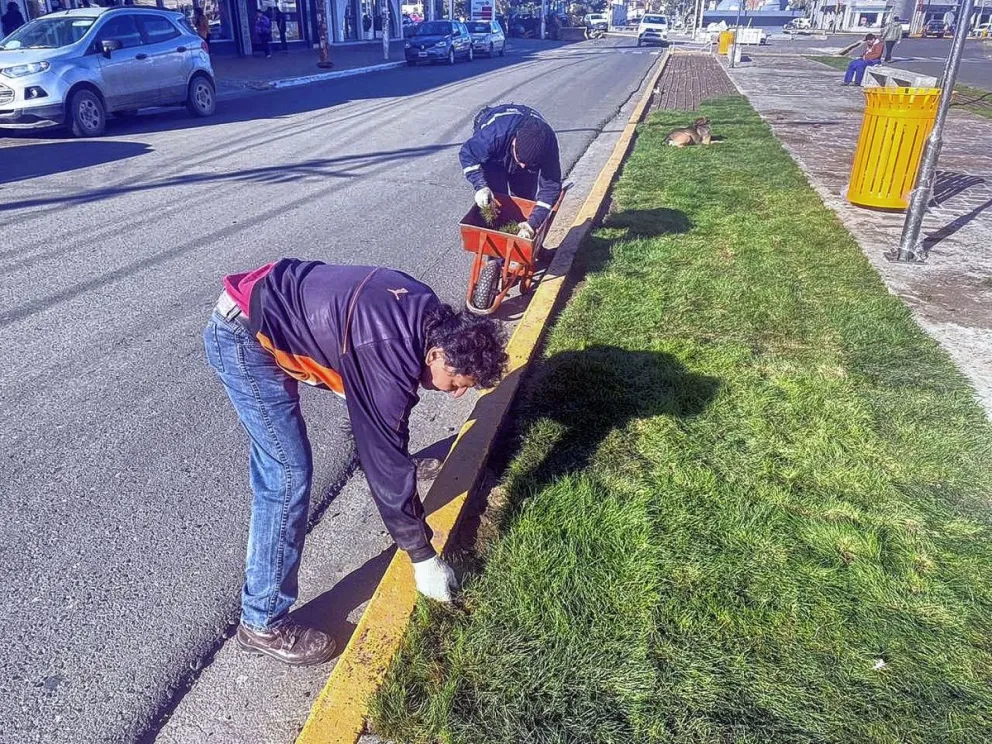 El Municipio de Caleta Olivia avanza con la obra de embellecimiento en espacios públicos