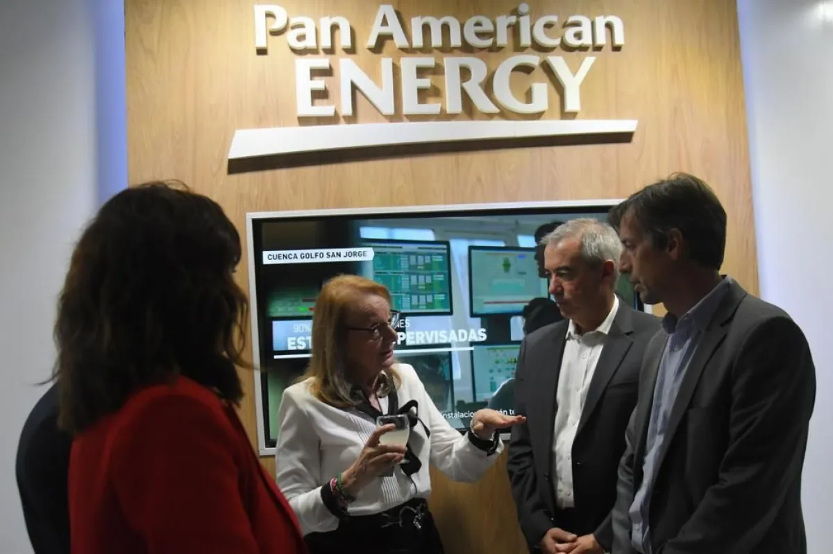 PAE presente en el 2º Foro de Transición Energética en Santa Cruz | Diario  Crónica